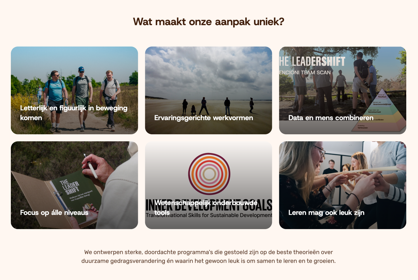 The Leadershift mobile